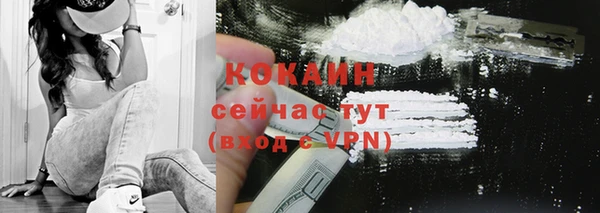 дмт Гусь-Хрустальный