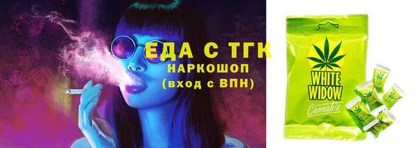 твердый Гусев