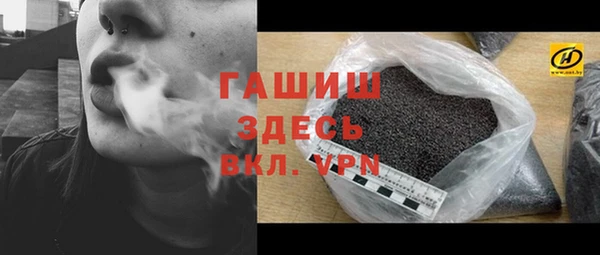твердый Гусев