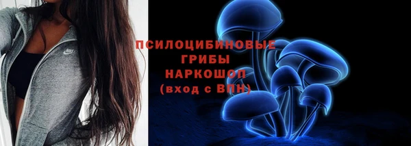 таблы Горнозаводск