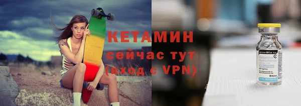 твердый Гусев
