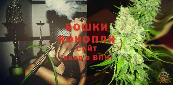 винт Гусиноозёрск