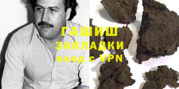 твердый Гусев