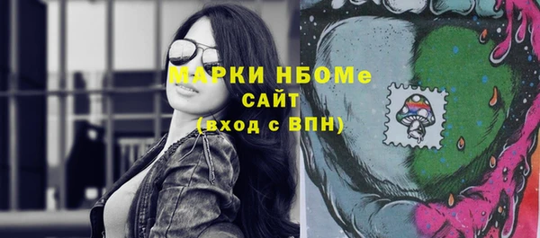 твердый Гусев