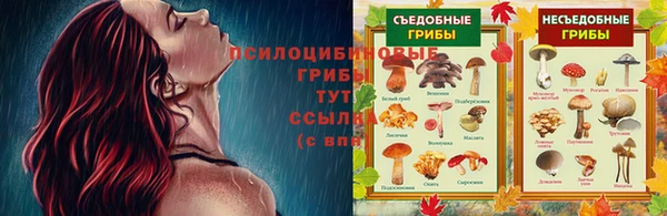 твердый Гусев