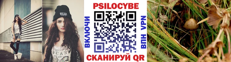 Галлюциногенные грибы прущие грибы  Добрянка 
