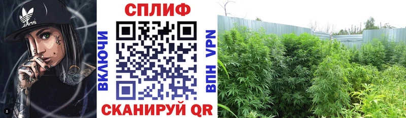 Канабис THC 21%  Добрянка 